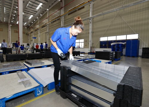 16萬的特斯拉即將問世，國產汽車與日用品市場的雙重機遇與挑戰